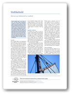 Ettersyn og råtekontroll av rundholt