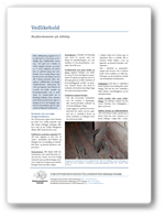 Rustforekomster på stålskipsskrog